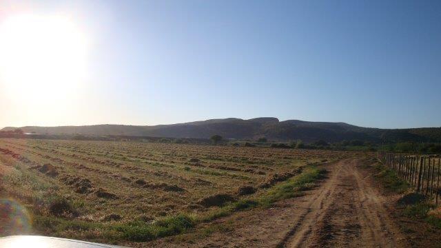 0 Bedroom Property for Sale in Oudtshoorn Rural Western Cape